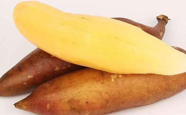 ѩ��������ȷ�Է� ��ѩ�����Ľ���